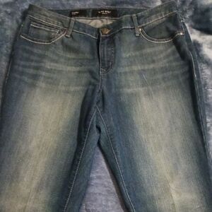 Nine West Women's Blue Skinny Jeans